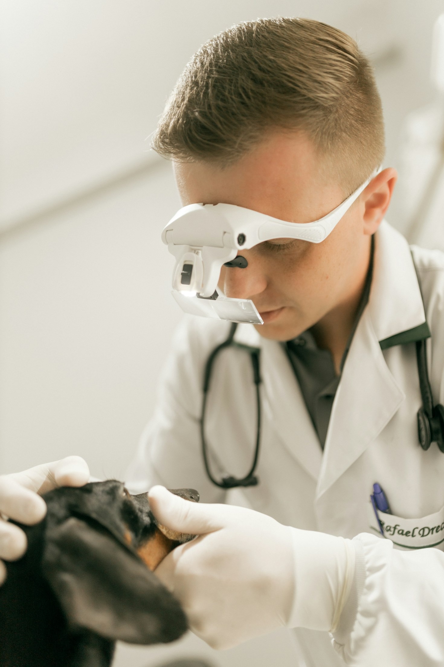 Como Escolher a Melhor Clínica Veterinária para Seu Pet