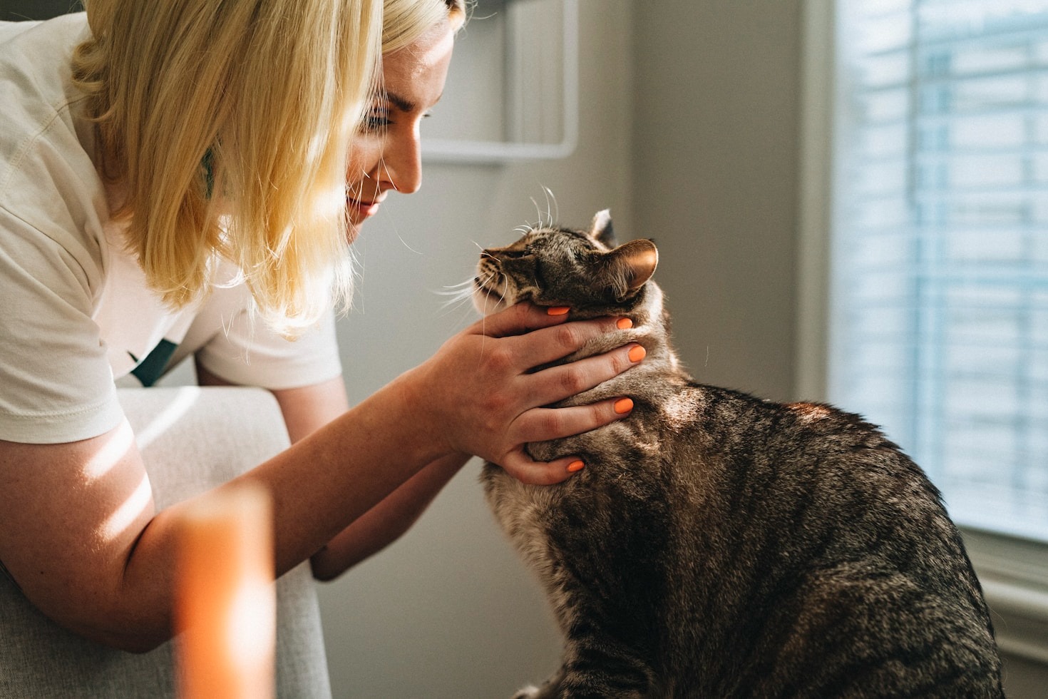 Os Benefícios de um Atendimento Veterinário Humanizado